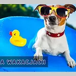 Holiday park Kujanki - Z Widokiem Na Jezioro *