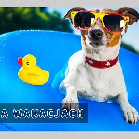 Parco vacanze Kujanki - Z Widokiem Na Jezioro *
