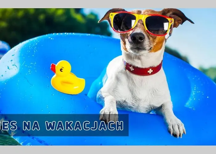 Holiday park Kujanki - Z Widokiem Na Jezioro *