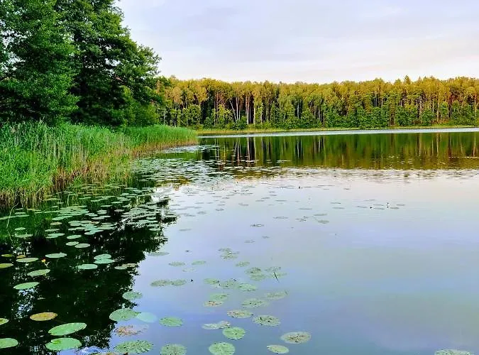 Kujanki - Z Widokiem Na Jezioro Holiday park Zakrzewo (Zlotow)
